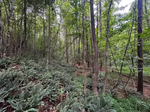 00 Mill Creek Rd, Roxboro, NC 27574 photo 19