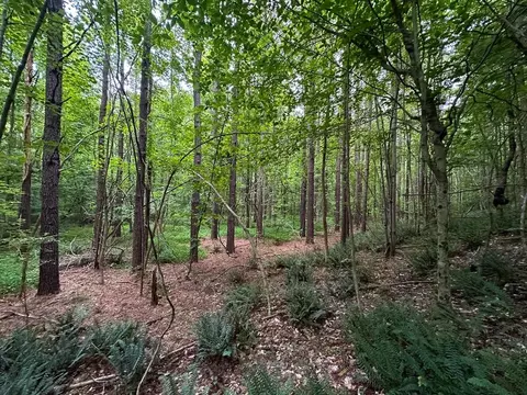 00 Mill Creek Rd, Roxboro, NC 27574 photo 34