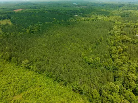 00 Mill Creek Rd, Roxboro, NC 27574 photo 20