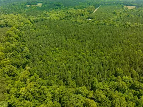 00 Mill Creek Rd, Roxboro, NC 27574 photo 33