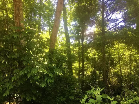 tbd Moncure Pittsboro Rd, Moncure, NC 27559