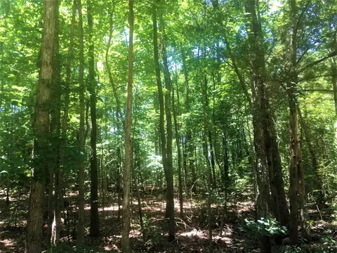 tbd Mt View Church Rd, Moncure, NC 27559