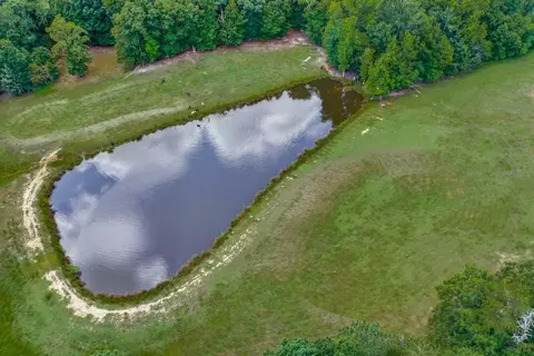 4611 Hall Rd, Rougemont, NC 27572 photo 9