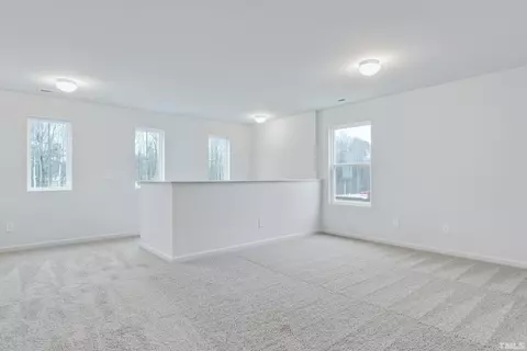 327 Riley, Spring Hope, NC 27882 photo 13