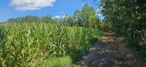0 Vc Britt Rd, Orrum, NC 28369 photo 7