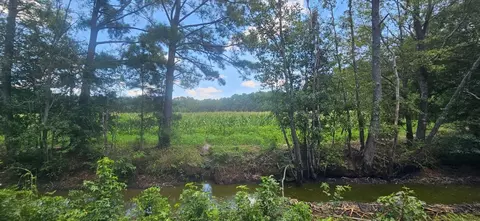 0 Vc Britt Rd, Orrum, NC 28369 photo 8
