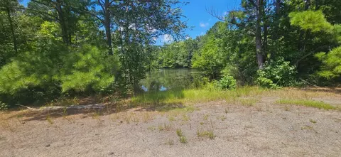 0 Vc Britt Rd, Orrum, NC 28369 photo 6