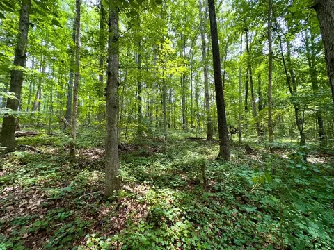 00 Stoneridge Dr, Stem, NC 27581 photo 21