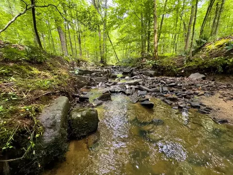 00 Stoneridge Dr, Stem, NC 27581 photo 3