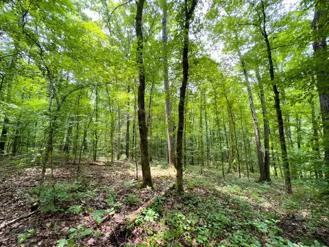 00 Stoneridge Dr, Stem, NC 27581 photo 36