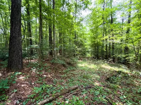 00 Stoneridge Dr, Stem, NC 27581 photo 40