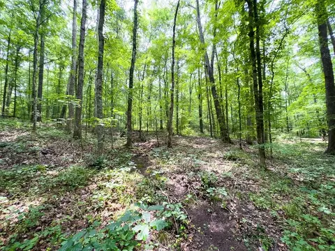 00 Stoneridge Dr, Stem, NC 27581 photo 42