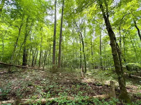 00 Stoneridge Dr, Stem, NC 27581 photo 47