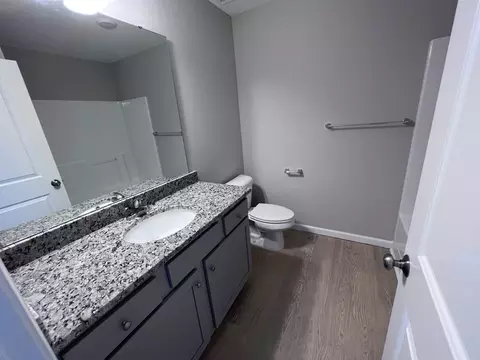 431 Touchdown Way, Benson, NC 27504 photo 15