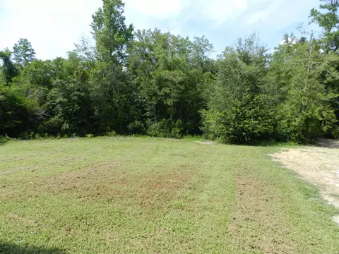 381 Touchdown Way, Benson, NC 27504 photo 17