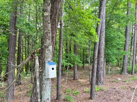 635 Conover Rd, Durham, NC 27703