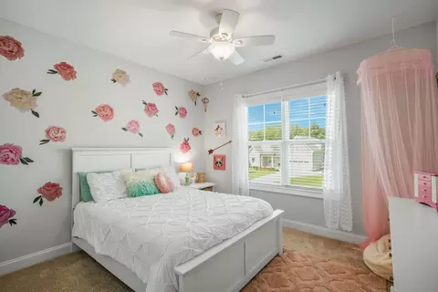 217 Misty Moonlight Dr, Willow Spring, NC 27592 photo 31
