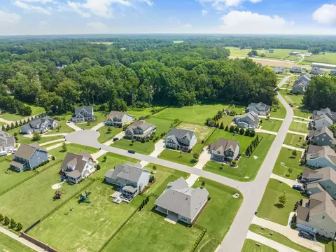 217 Misty Moonlight Dr, Willow Spring, NC 27592 photo 48