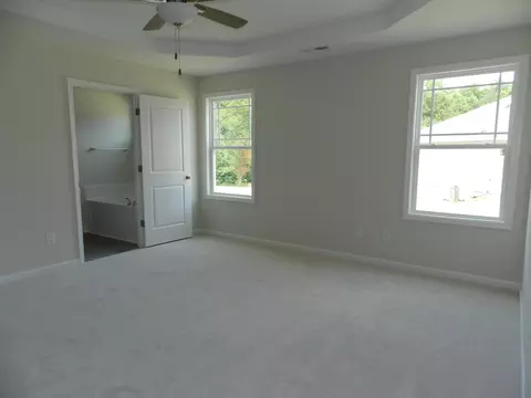 419 Touchdown Way, Benson, NC 27504 photo 7