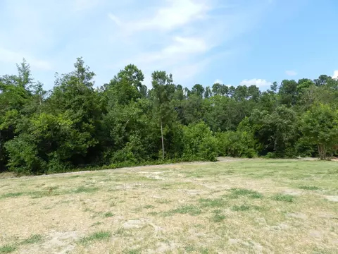 419 Touchdown Way, Benson, NC 27504 photo 14