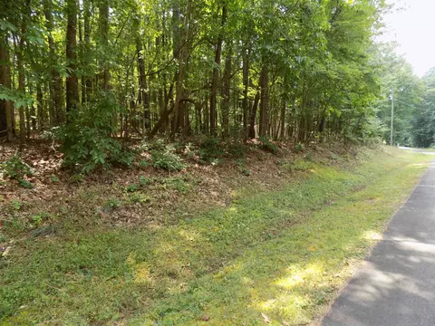 217 Rawhide Dr, Louisburg, NC 27549