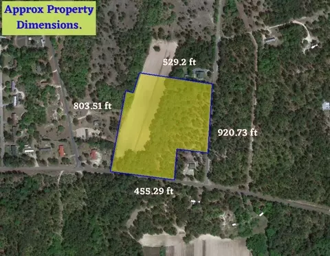 tbd Blues Bridge Rd, Hoffman, NC 28347 photo 6
