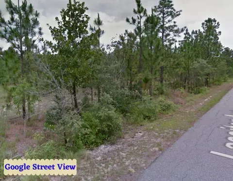 tbd Blues Bridge Rd, Hoffman, NC 28347 photo 16
