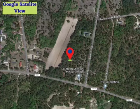 tbd Blues Bridge Rd, Hoffman, NC 28347 photo 3