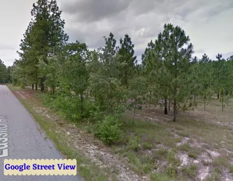 tbd Blues Bridge Rd, Hoffman, NC 28347 photo 15