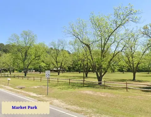 tbd Blues Bridge Rd, Hoffman, NC 28347 photo 13
