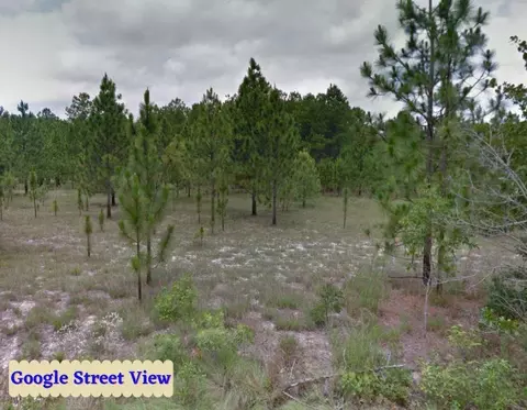 tbd Blues Bridge Rd, Hoffman, NC 28347 photo 14