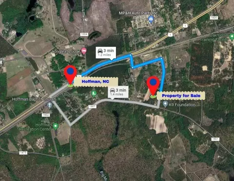 tbd Blues Bridge Rd, Hoffman, NC 28347 photo 4