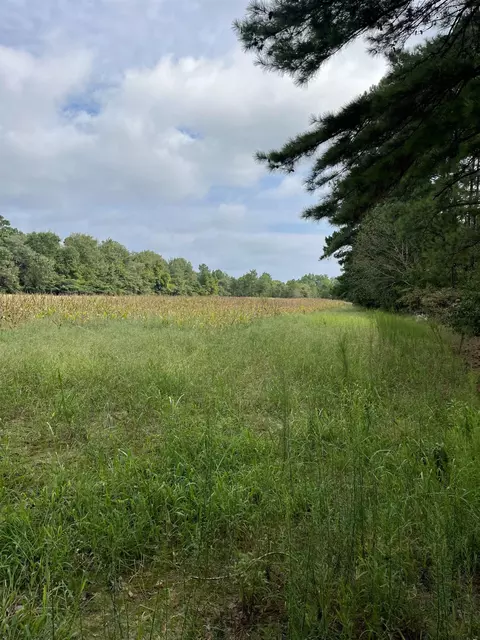 tbd Blues Bridge Rd, Hoffman, NC 28347 photo 24