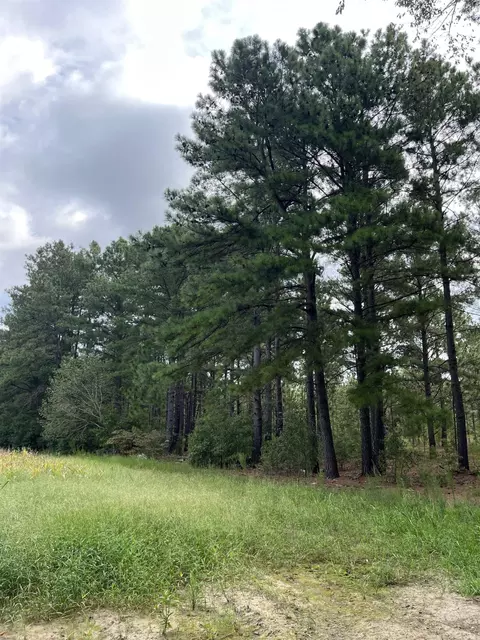 tbd Blues Bridge Rd, Hoffman, NC 28347 photo 26