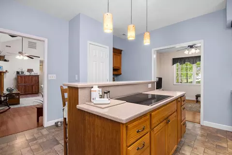 1008 Windstar Way, Willow Spring, NC 27592 photo 9