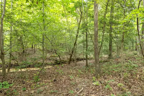 1008 Windstar Way, Willow Spring, NC 27592 photo 39