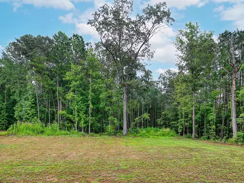20 Jackson Spgs, Willow Spring, NC 27592 photo 44