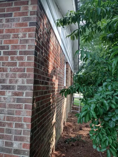 115 Basin St, Dunn, NC 28334 photo 7