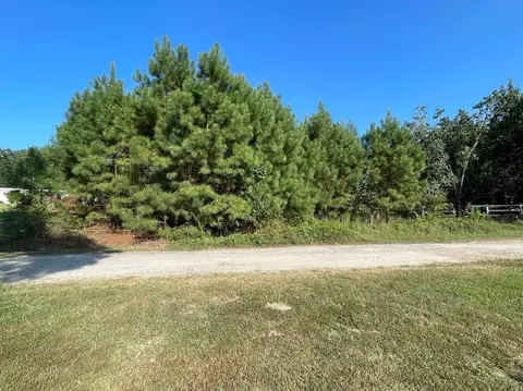 120 Pond Cir, Willow Springs, NC 27592 photo 5