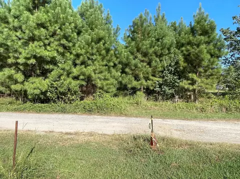 120 Pond Cir, Willow Springs, NC 27592 photo 6
