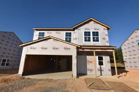 90 Spotted Bee Way, Youngsville, NC 27596