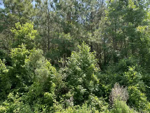 S Us 401 Highway, Erwin, NC 28339