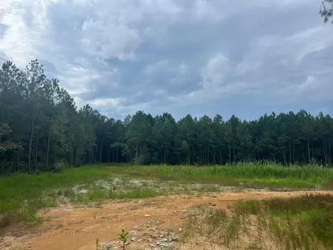 Frazier Road, Spring Hope, NC 27882 photo 6