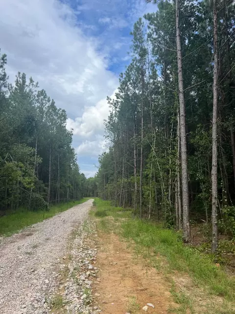 Frazier Road, Spring Hope, NC 27882