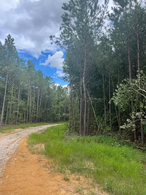 Frazier Road, Spring Hope, NC 27882 photo 4