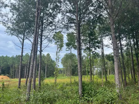 Frazier Road, Spring Hope, NC 27882 photo 3