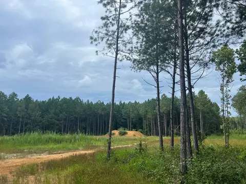 Frazier Road, Spring Hope, NC 27882 photo 7