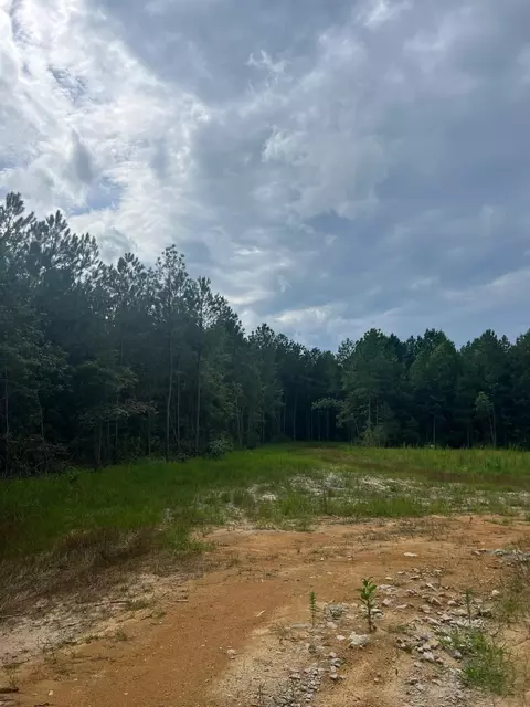 Frazier Road, Spring Hope, NC 27882 photo 5