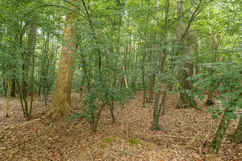 114 Cobblestone Dr, Chapel Hill, NC 27516 photo 4