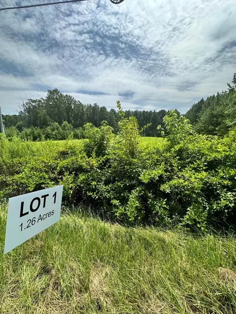 3226 Bruce Garner Rd, Creedmoor, NC 27522